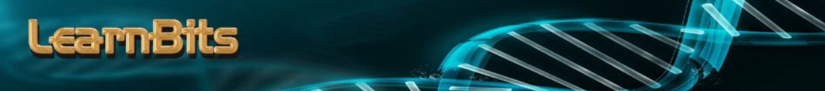 Browse to the homepage of LearnBits