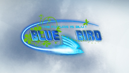 Browse to the homepage of BlueBird-HD