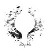 Tyranny's Avatar