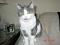 cuddles's Avatar