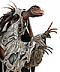 wildbug123's Avatar