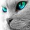 Aurora_HD's Avatar