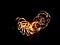 FireChain