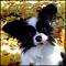 Goodzi's Avatar