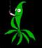Kushfodawin