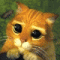 Gamescom's Avatar