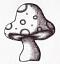 Mushroom's Avatar