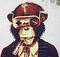 Dangerousmonkey's Avatar