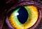 phoenixeye's Avatar