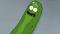 Pickle Rick's Avatar