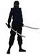 SuperNinja's Avatar