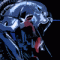 crit's Avatar