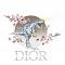 Dior's Avatar