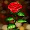 rose19's Avatar