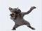 Meeno's Avatar