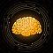 GoldenMind's Avatar
