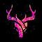 roog's Avatar
