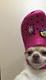 Jumbodogfries's Avatar